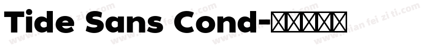 Tide Sans Cond字体转换